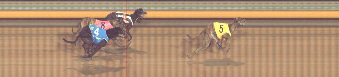 Photo finish for Bendigo Race 12