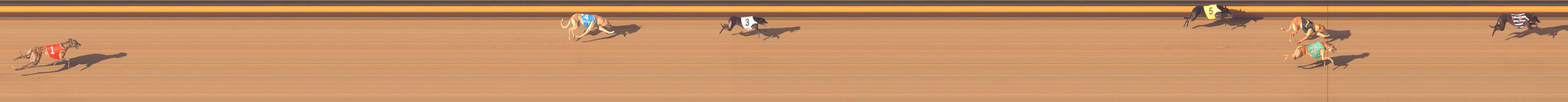 Race result finish photo