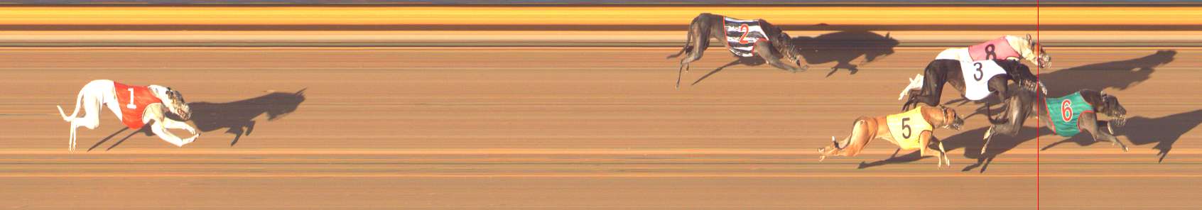 Photo finish for Bendigo Race 2