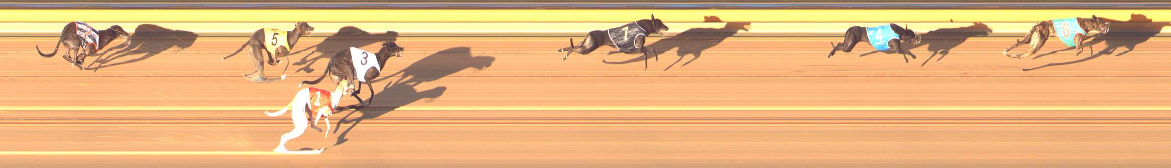 Photo finish for Bendigo Race 3