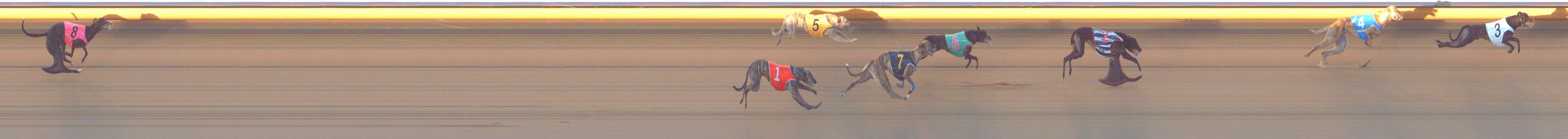 Photo finish for Bendigo Race 4