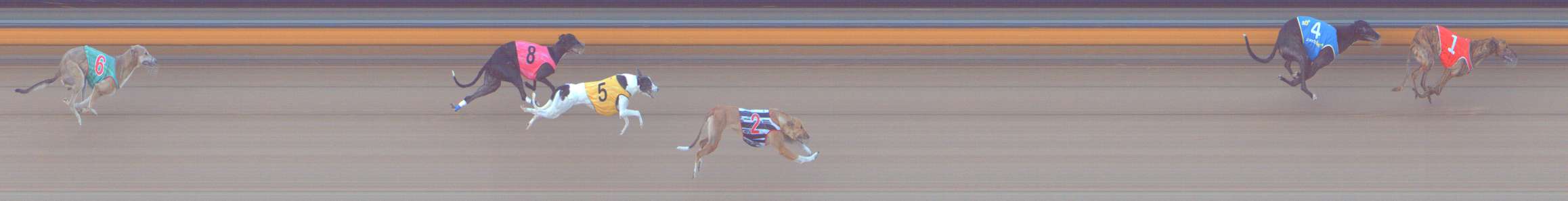 Photo finish for Bendigo Race 5