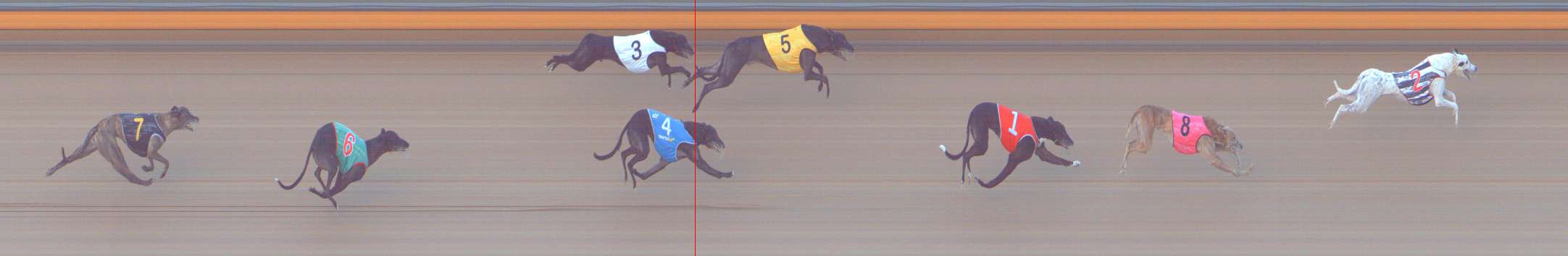 Photo finish for Bendigo Race 6