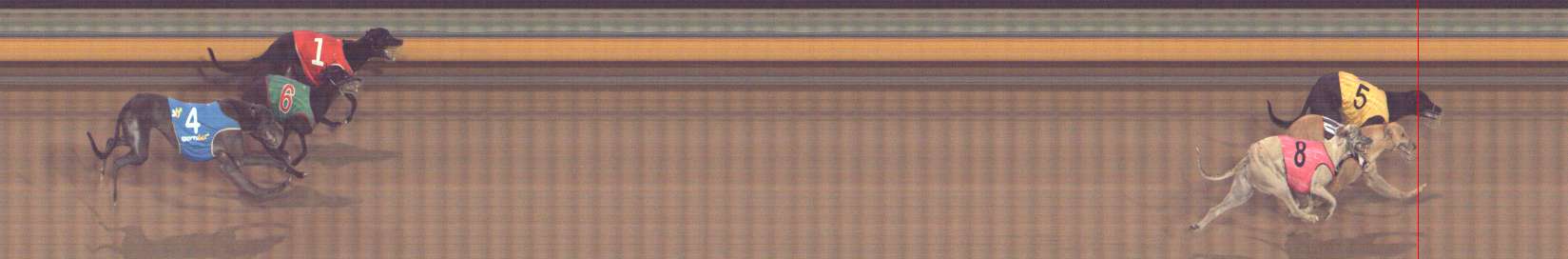 Photo finish for Bendigo Race 8