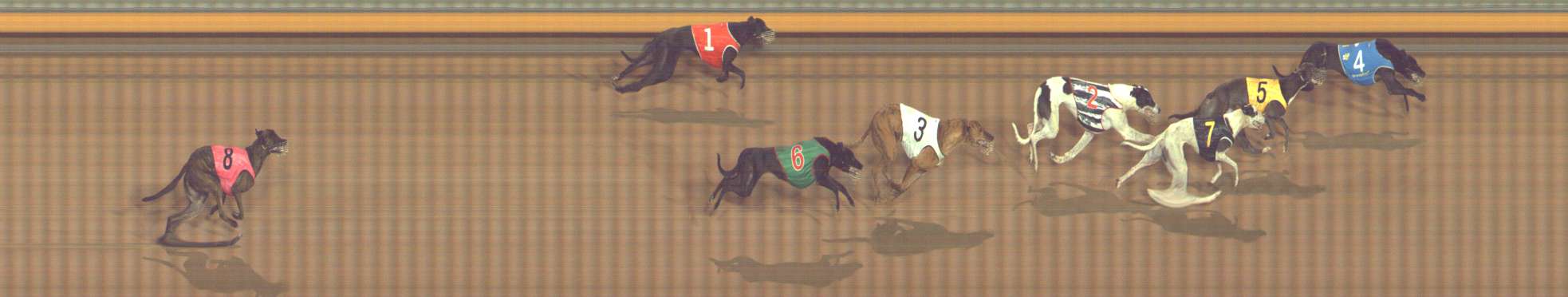 Photo finish for Bendigo Race 10