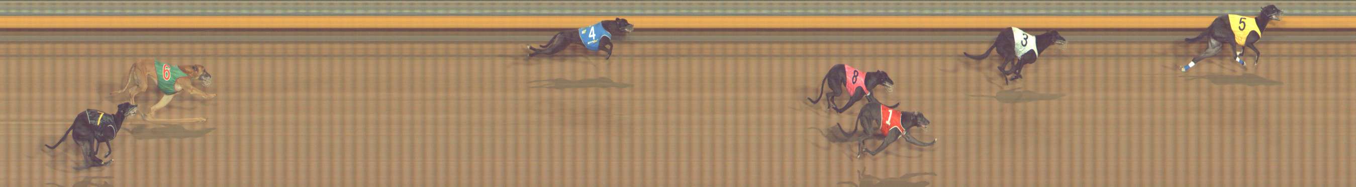 Photo finish for Bendigo Race 12