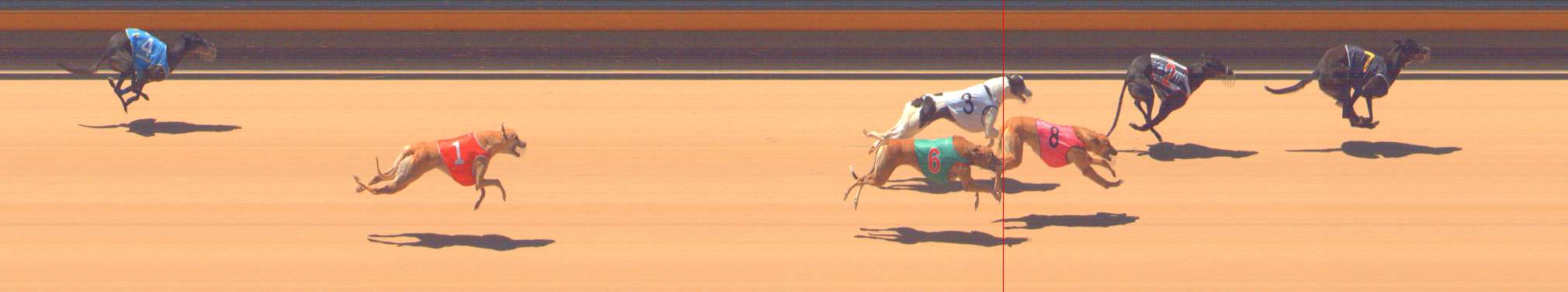 Photo finish for Bendigo Race 1