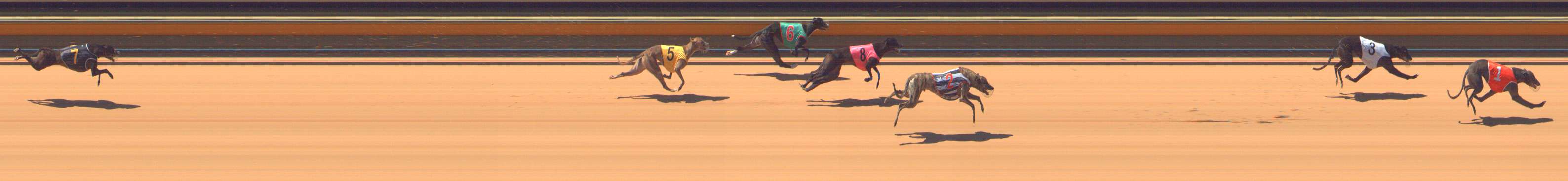 Photo finish for Bendigo Race 2