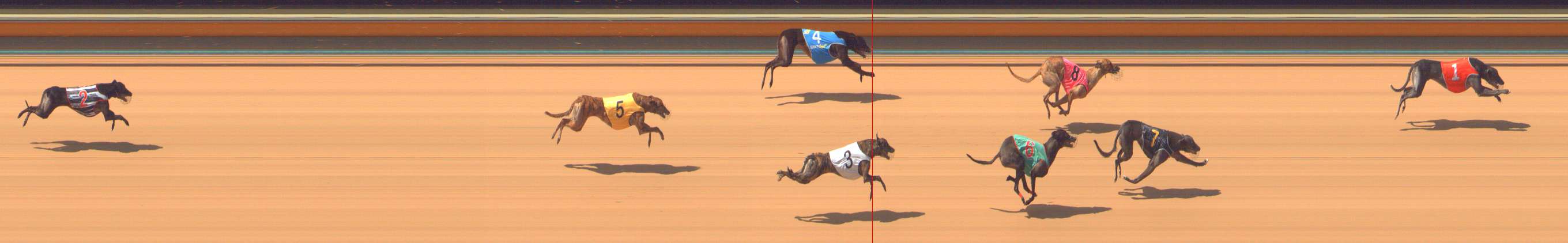 Photo finish for Bendigo Race 5
