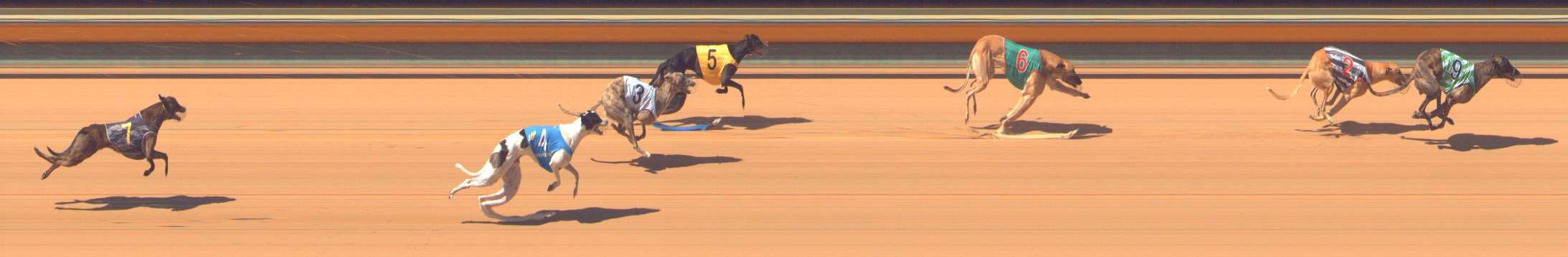 Photo finish for Bendigo Race 6