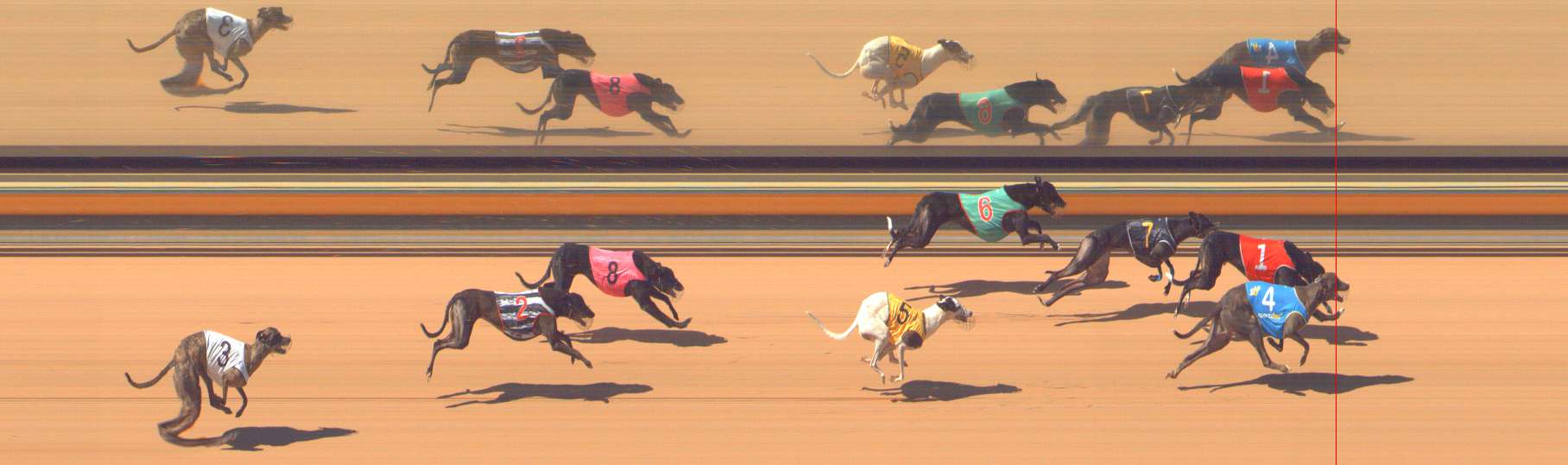 Photo finish for Bendigo Race 7