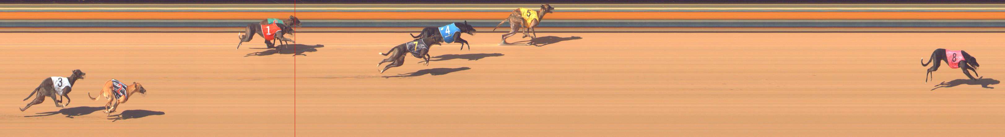 Photo finish for Bendigo Race 9