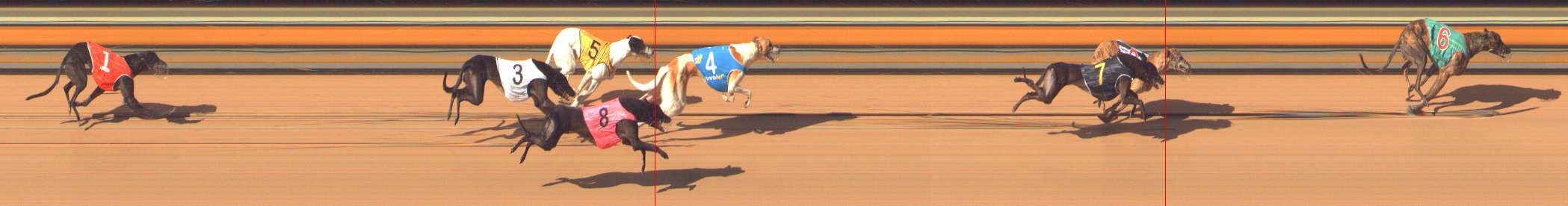 Photo finish for Bendigo Race 10