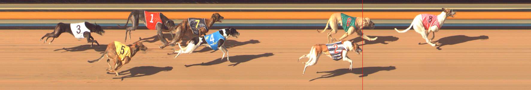 Photo finish for Bendigo Race 11