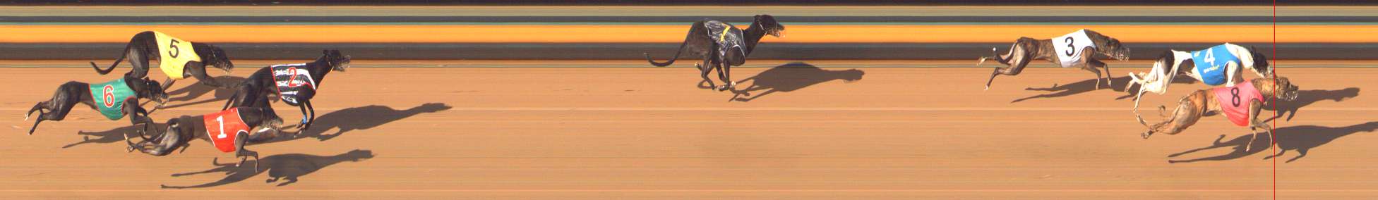 Photo finish for Bendigo Race 12