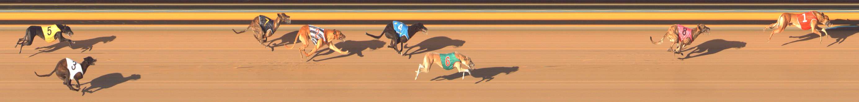 Photo finish for Bendigo Race 13