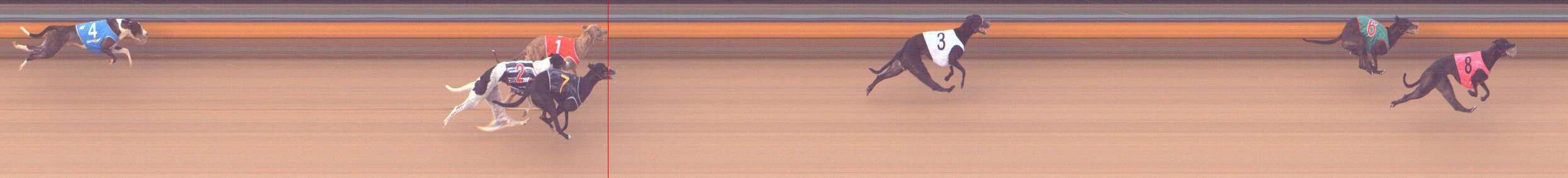 Photo finish for Bendigo Race 1
