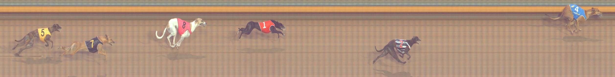 Photo finish for Bendigo Race 4