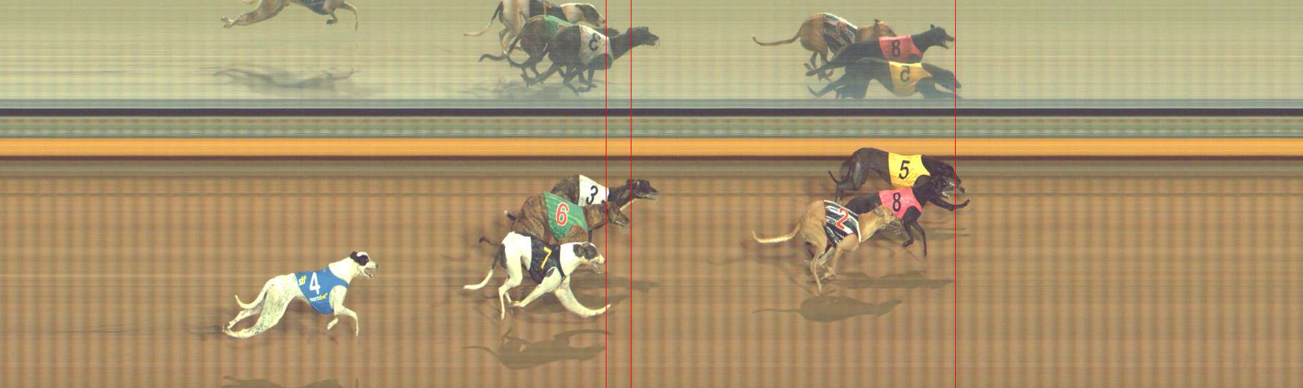 Photo finish for Bendigo Race 6