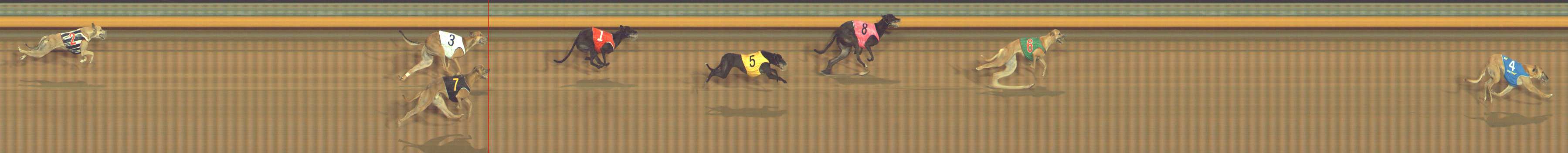 Photo finish for Bendigo Race 8
