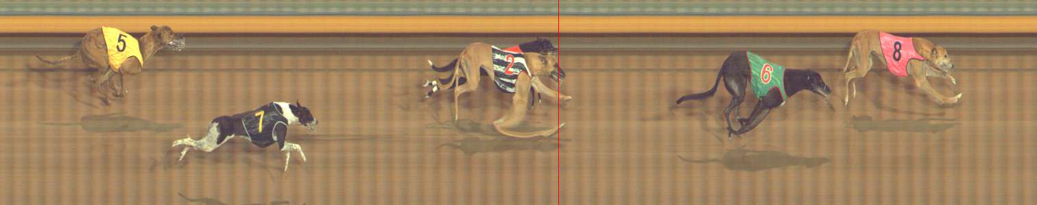 Photo finish for Bendigo Race 9