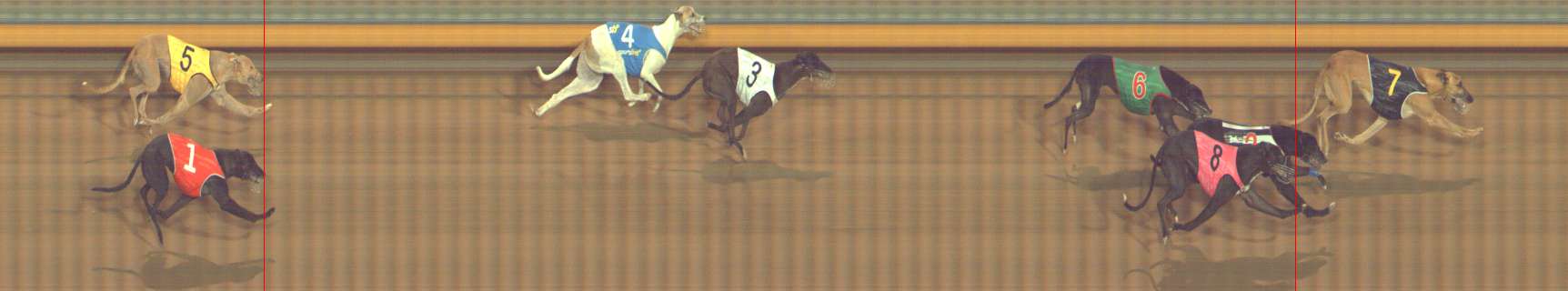 Photo finish for Bendigo Race 12