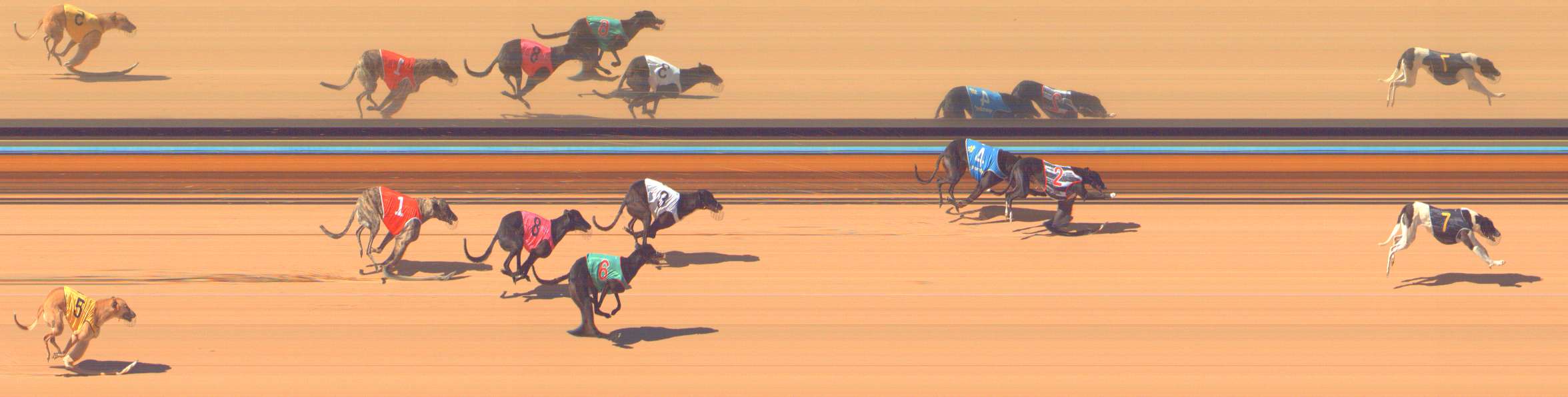 Race result finish photo