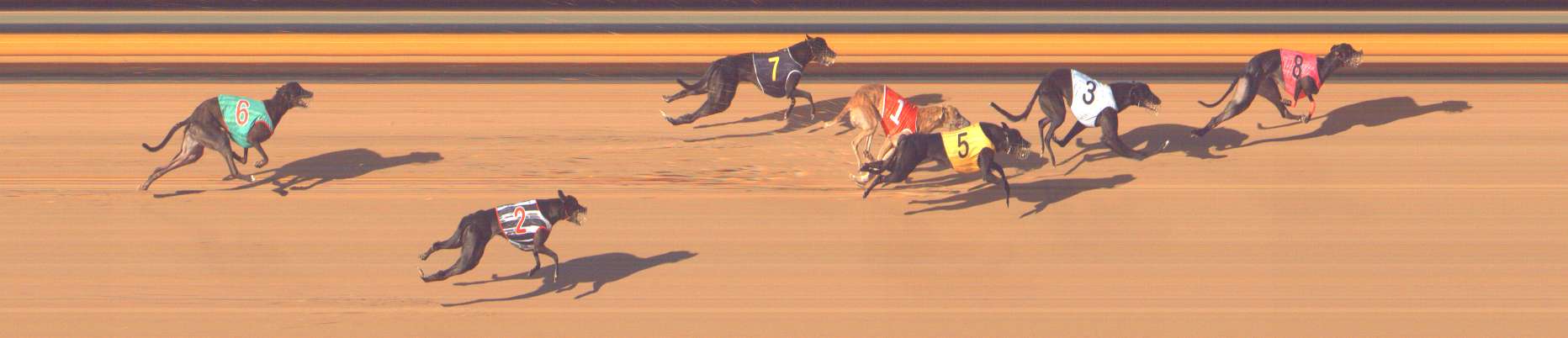 Race result finish photo