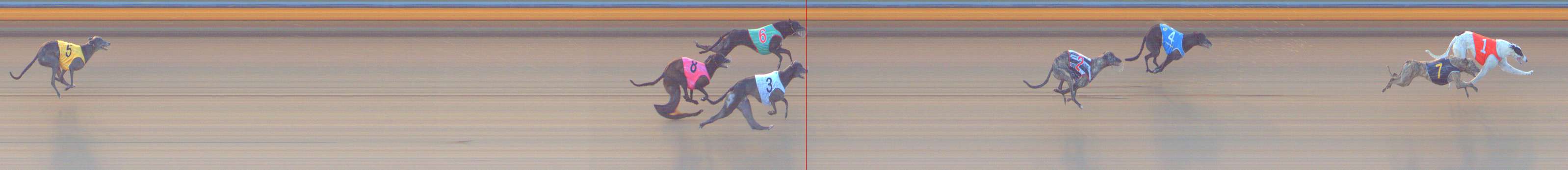 Race result finish photo