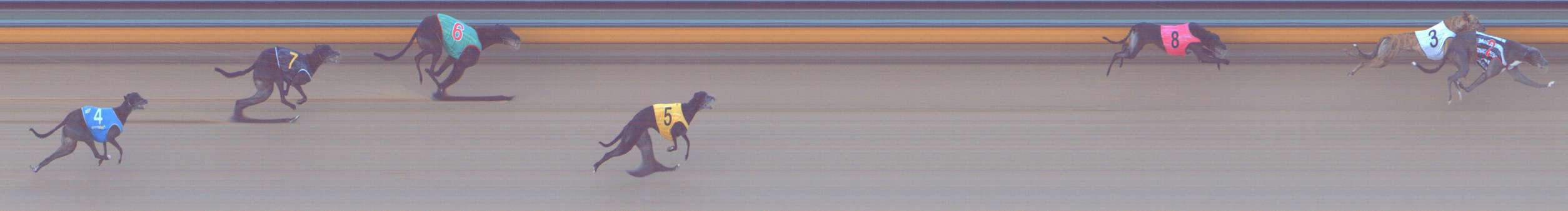 Race result finish photo