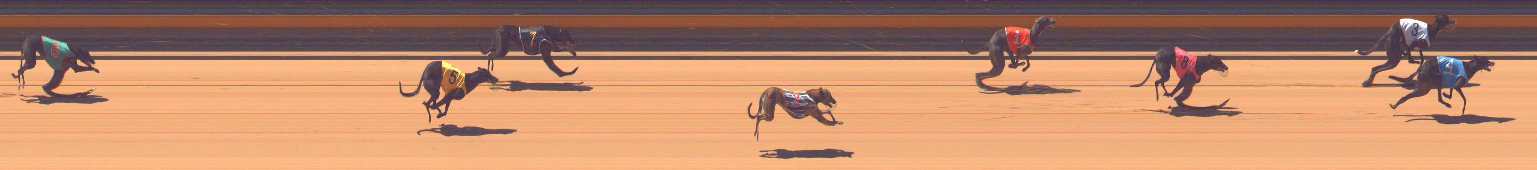 Race result finish photo