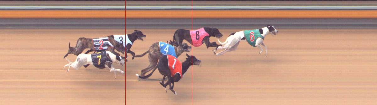 Photo finish for Bendigo Race 6
