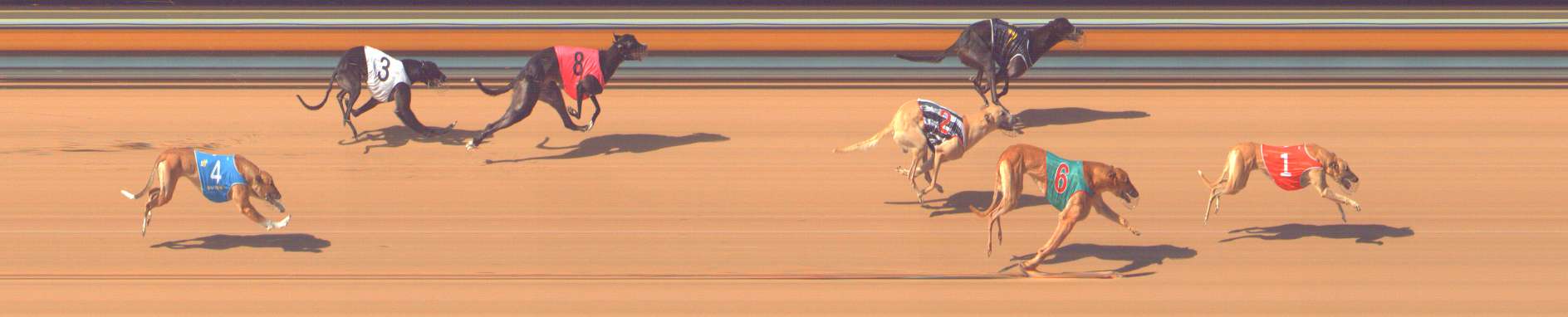 Photo finish for Bendigo Race 7