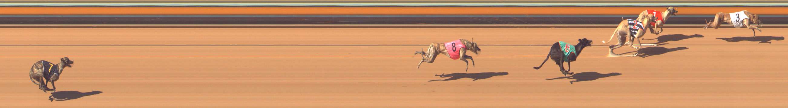 Photo finish for Bendigo Race 8