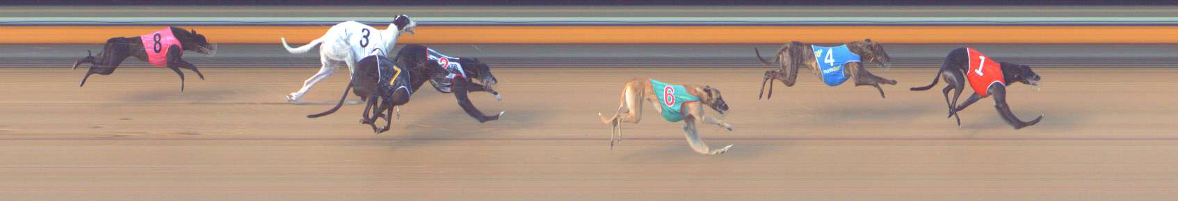 Photo finish for Bendigo Race 9