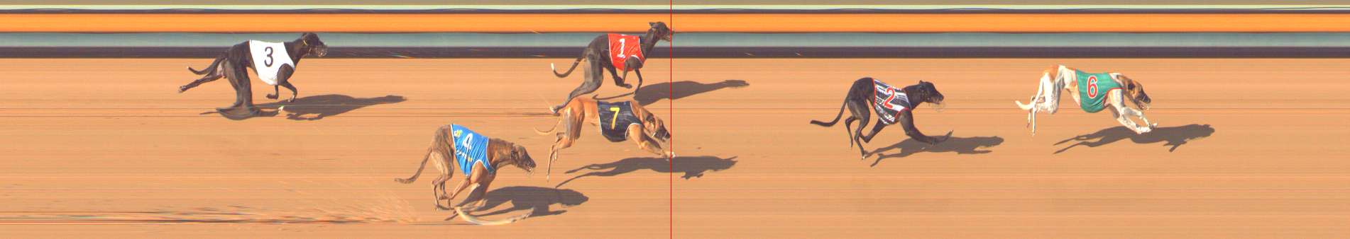 Photo finish for Bendigo Race 10