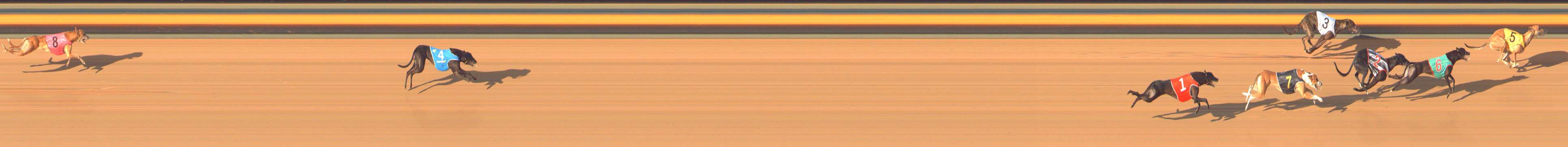 Photo finish for Bendigo Race 12