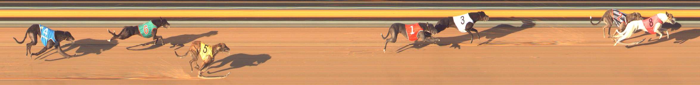 Photo finish for Bendigo Race 13