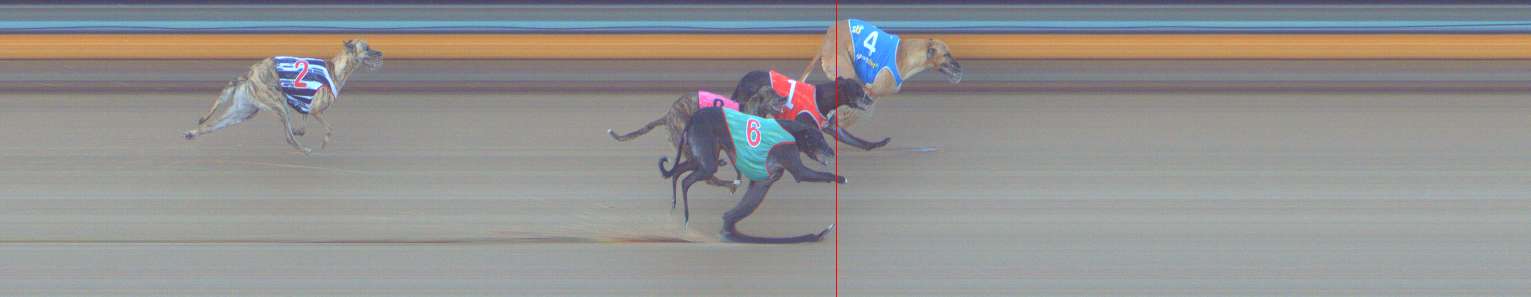 Photo finish for Bendigo Race 2
