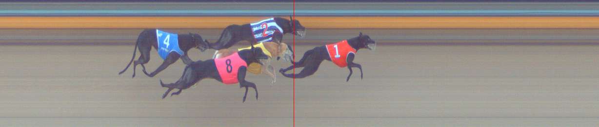 Photo finish for Bendigo Race 3
