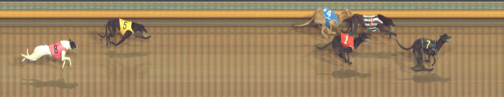Photo finish for Bendigo Race 5