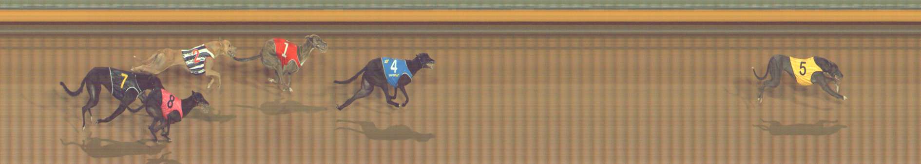 Photo finish for Bendigo Race 6