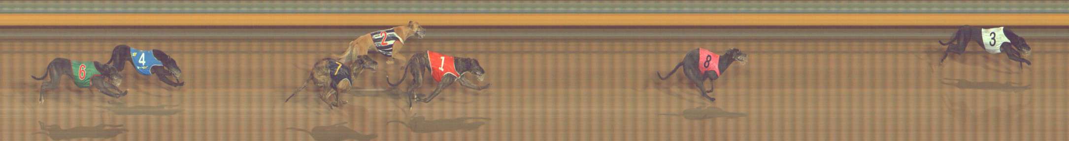 Photo finish for Bendigo Race 8