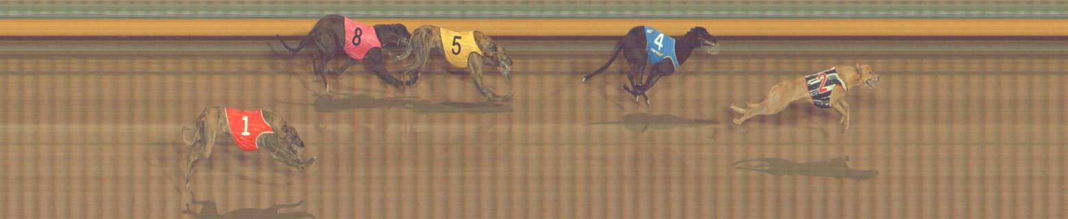 Photo finish for Bendigo Race 10