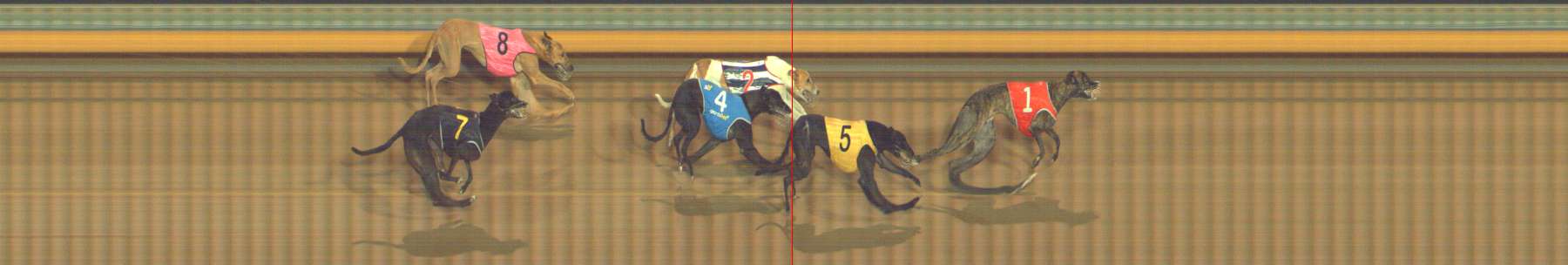 Photo finish for Bendigo Race 12
