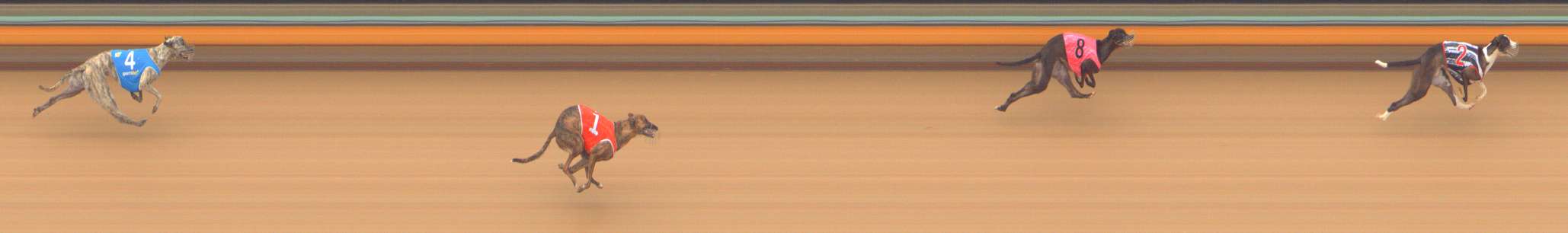 Photo finish for Bendigo Race 2
