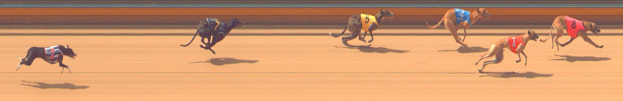 Photo finish for Bendigo Race 3