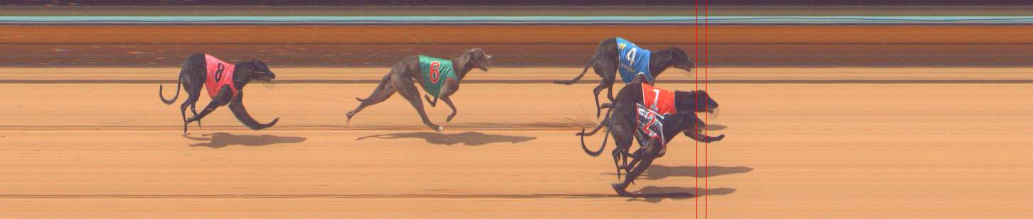 Photo finish for Bendigo Race 5