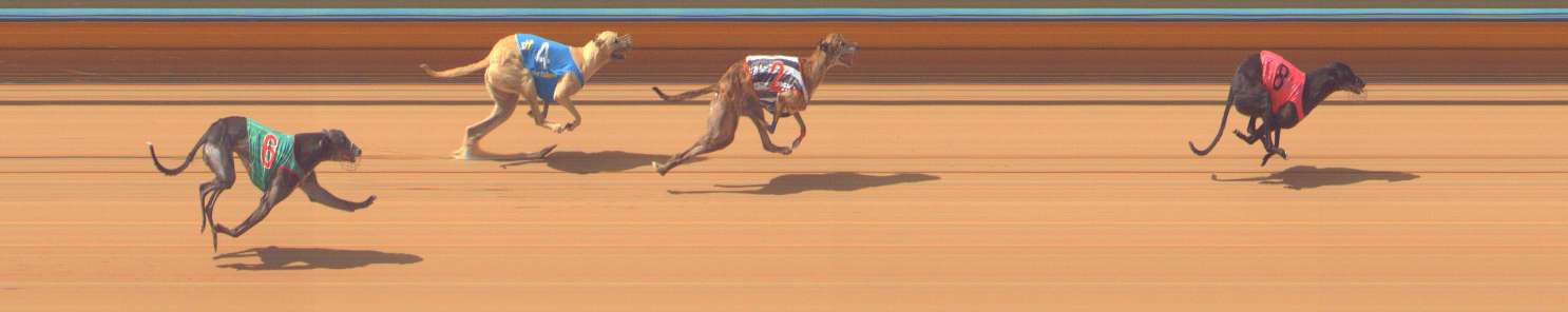 Photo finish for Bendigo Race 6