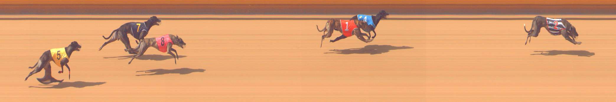 Photo finish for Bendigo Race 7